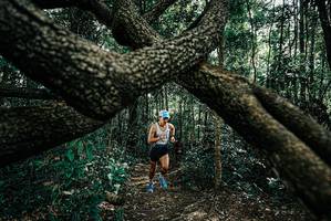 BIB: 
                            <button type="button" onclick="openModal(25663962)" class="btn btn-primary btn-sm float-right btn-popup" data-toggle="modal" data-target=".modal-high-quality">
                        <i class="fas fa-shopping-cart"></i> Add to Cart
                    </button>
                                            <button type="button" onclick="isThisMe(25663962, true)" class="btn btn-success btn-sm float-right btn-popup btn-isme hidden" data-toggle="tooltip" data-placement="bottom" title="นี่คือรูปของคุณใช่ไหม คลิกที่นี่เพื่อเอาเข้าอัลบั้ม">
                        <i class="fas fa-plus"></i> Add to album
                    </button>
                    <button type="button" onclick="isThisMe(25663962, false)" class="btn btn-warning btn-sm float-right btn-popup btn-isnotme hidden">
                        <i class="fas fa-ban"></i> Remove from album
                    </button>